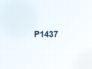 Engine P1437 Error Causes and Solutions